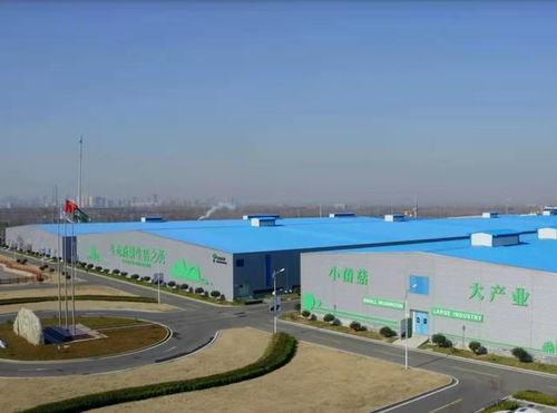 從煤炭到金針菇 電石產(chǎn)業(yè)轉(zhuǎn)型中的食用菌超級(jí)工廠(chǎng)